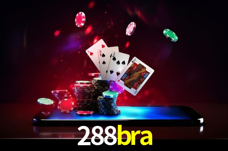 Experiência VIP 288bra