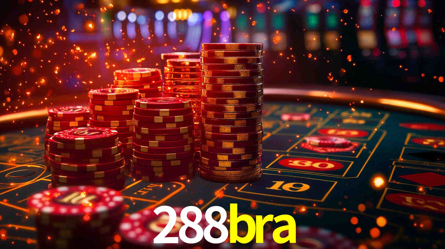 288bra App Interface